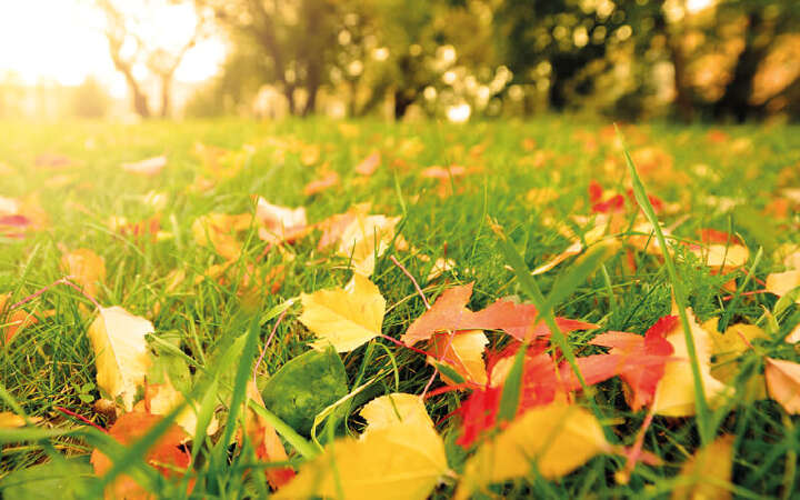 landflair 800x500 1